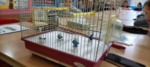 des enfants dans une classe préparent un projet sur le thème des Schtroumpfs
