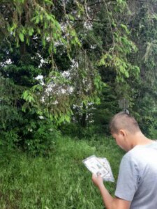 Les élèves de Mmes Camie, Sandrine et Eugénie à la chasse aux arbres de Sainte-Gertrude à Brugelette