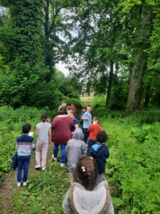 Les élèves de Mmes Camie, Sandrine et Eugénie à la chasse aux arbres de Sainte-Gertrude à Brugelette