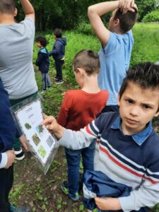 Les élèves de Mmes Camie, Sandrine et Eugénie à la chasse aux arbres de Sainte-Gertrude à Brugelette